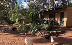 Country Cottages Of Bridgetown